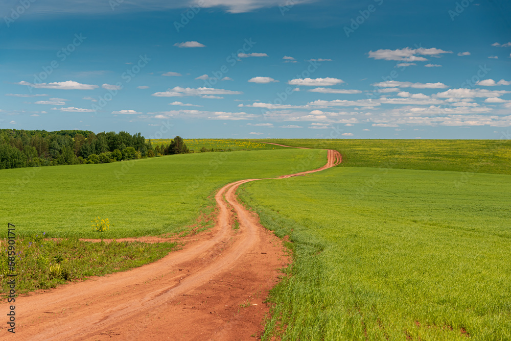 Obraz premium Dirt road running through a field with green grass beyond the horizon