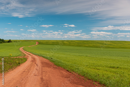 Dirt road running through a field with green grass beyond the horizon