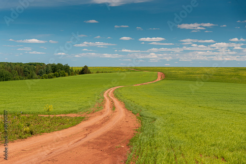 Dirt road running through a field with green grass beyond the horizon (ID: 585901717)