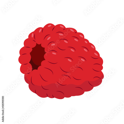 raspberry isolated on white background