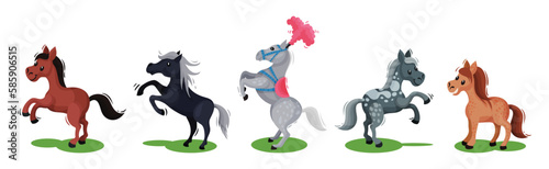 Horse with Crest and Tail on Green Field Vector Set
