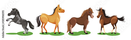Horse with Crest and Tail on Green Field Vector Set