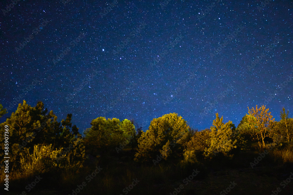 sky full of stars in green field with trees under dark sky in monte ...