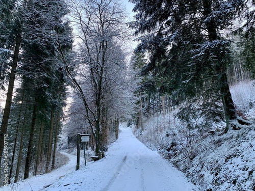 Snow covered town and wood near the german town of Winterberg in province Sauerland, Germany