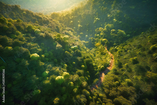The aerial view reveals the hidden secrets of the forest  with the road providing a unique perspective of the verdant canopy  shimmering streams  and wildlife that call it home
