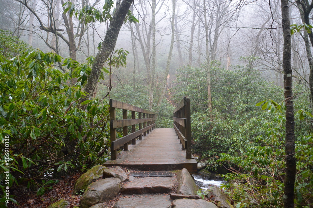 Obraz premium SMOKEY MOUNTAINS PARK