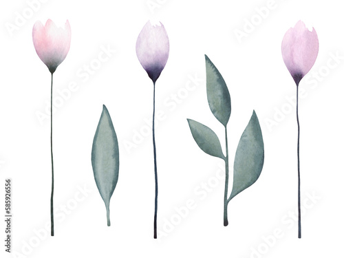 Watercolor  texture illustration of a set of isolated  delicate  spring  lilac and pink flowers on a long  thin stem and leaves. Drawn by hand. For holiday  design and decoration.