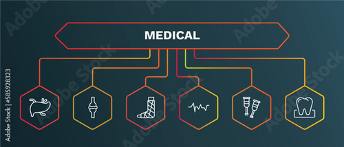 set of medical white thin line icons. medical outline icons with infographic template. linear icons such as knee, plastered foot, lifeline, crutches, molar vector.