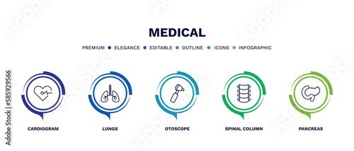 set of medical thin line icons. medical outline icons with infographic template. linear icons such as cardiogram, lungs, otoscope, spinal column, pancreas vector.
