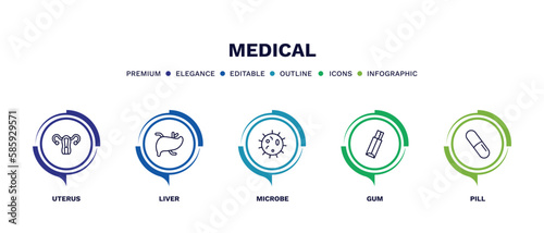 set of medical thin line icons. medical outline icons with infographic template. linear icons such as uterus, liver, microbe, gum, pill vector.