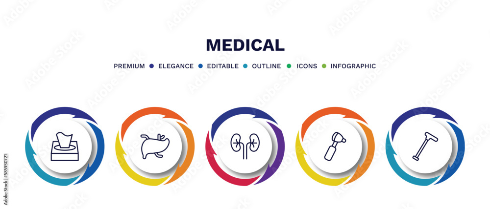 set of medical thin line icons. medical outline icons with infographic template. linear icons such as tissue paper, liver, kidney, otoscope, walking stick vector. set of medical thin line icons. medical outline icons with infographic template. linear icons such as tissue paper, liver, kidney, otoscope, walking stick vector.