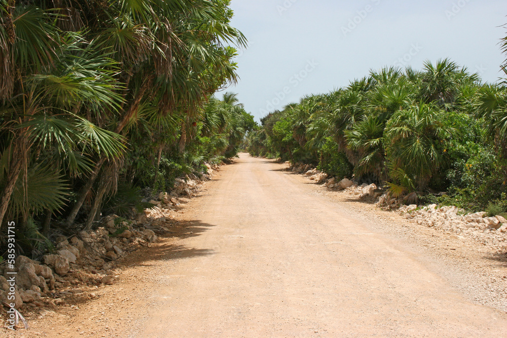 Tulum Mexico’s Yucatán Peninsula Jungle Road Tulum Mexico’s Yucatán Peninsula Jungle Road