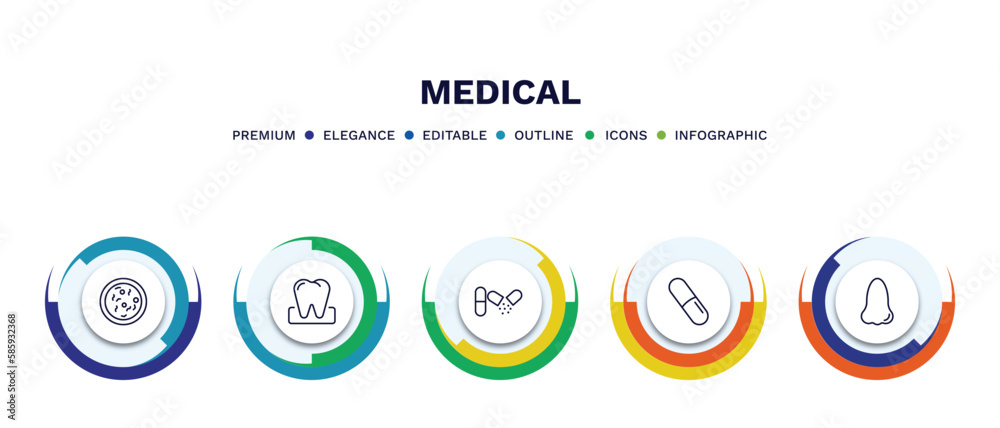 set of medical thin line icons. medical outline icons with infographic template. linear icons such as bacteria, molar, antibiotic, pill, e vector. set of medical thin line icons. medical outline icons with infographic template. linear icons such as bacteria, molar, antibiotic, pill, e vector.
