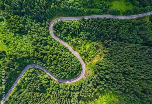 Winding road trough dense pine forest. Aerial drone view