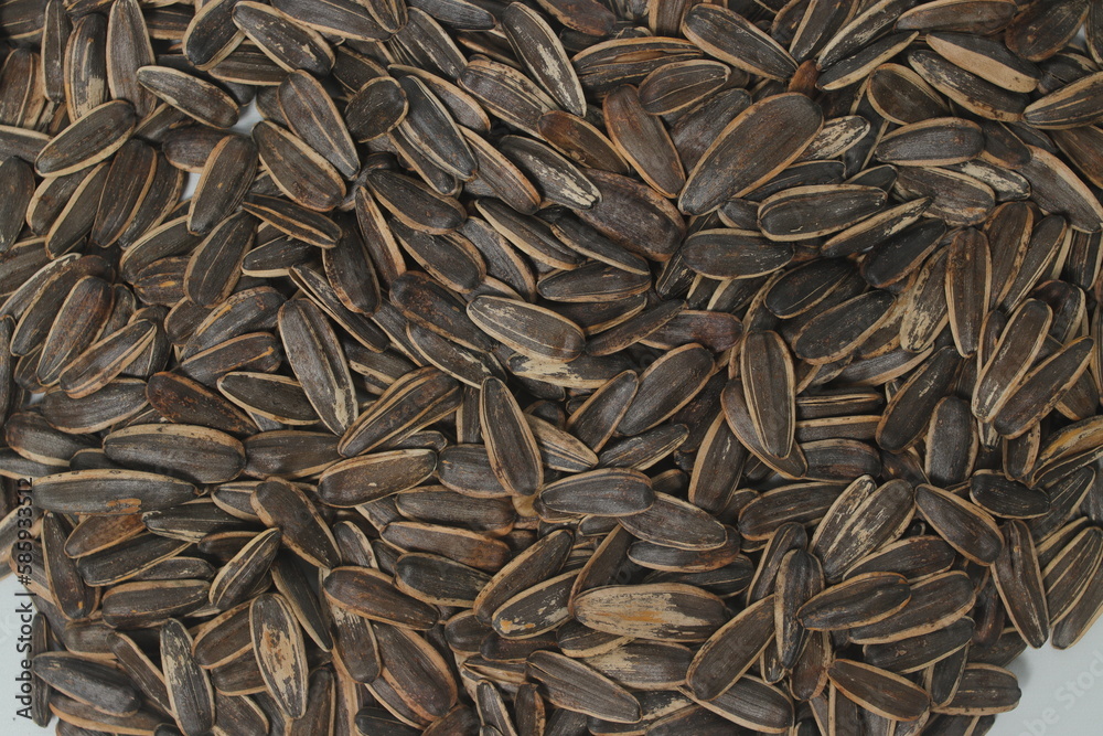 Sunflower seeds texture background. Sunflower seeds texture background.