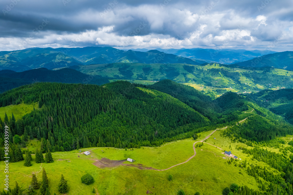 Fototapeta premium Aerial view of beautiful mountain forest covered with fluffy clouds.