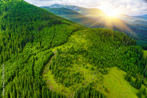 Aerial view of beautiful mountain forest covered with fluffy clouds.