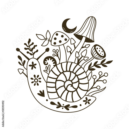vector black and white image snail and mushrooms