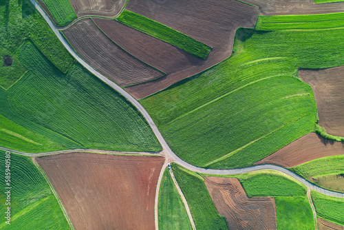 AERIAL TOP DOWN: Beautiful path surrounded with green meadows and farming fields