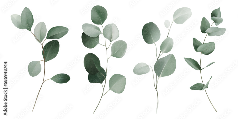Obraz premium Set botanic watercolor floral illustration set. Green leaves, eucalyptus branches, olive isolated on white background. For wedding invitations, anniversary, birthday, prints, posters.