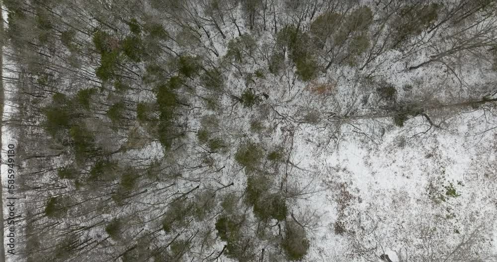 Topdown View Of A Forest Covered With Snow Near Neills Bluff, Washington County In Arkansas, United States. Aerial Shot Topdown View Of A Forest Covered With Snow Near Neills Bluff, Washington County In Arkansas, United States. Aerial Shot