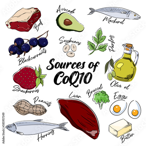 Coenzyme Q10 dietary sources, vector illustration