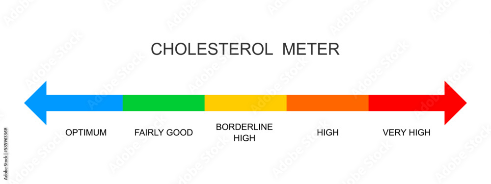 Fototapeta premium Cholesterol meter horizontal scale. Lipoprotein levels from optimum to very high. Atherosclerosis, hyperlipidemia, hypercholesterolemia risk colorful chart. Vector flat illustration