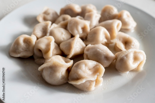 Serving of traditional Russian dough and meat dish on a white plate. Dumplings filled with meat, cheese and mushrooms. Popular Eastern European food