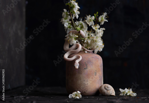 still life with flowers, plants, isolated, pattern, snake, still life, interior, modern, decor, beautiful, poster, organic, art, set, nature, abstraction, banner, painting, illustration, color, design