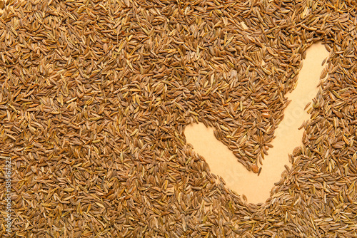 Check mark made of cumin se...