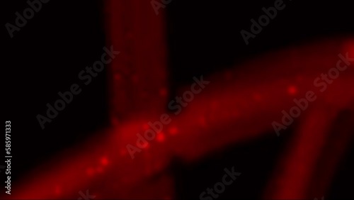 4K Overlay scribble particles animation. Screen Overlay for music video, video effect, viral effect, VFX