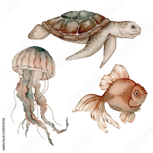 Set of sea animals poster. Blue, greeen, brown watercolor ocean jellyfish, medusa, fish aquarium. Nautical wildlife marine illustration photo