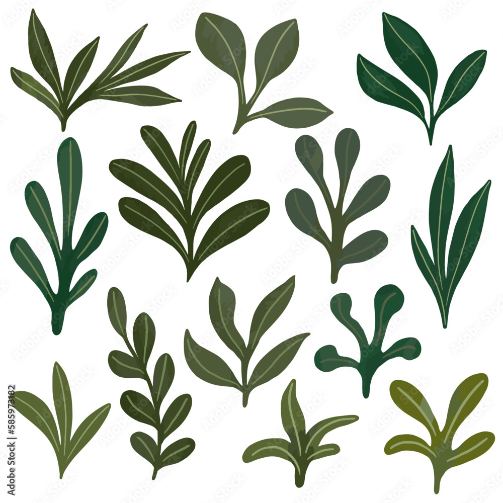 Green set of leaves for design. Various spring leaves for background. Green set of leaves for design. Various spring leaves for background.