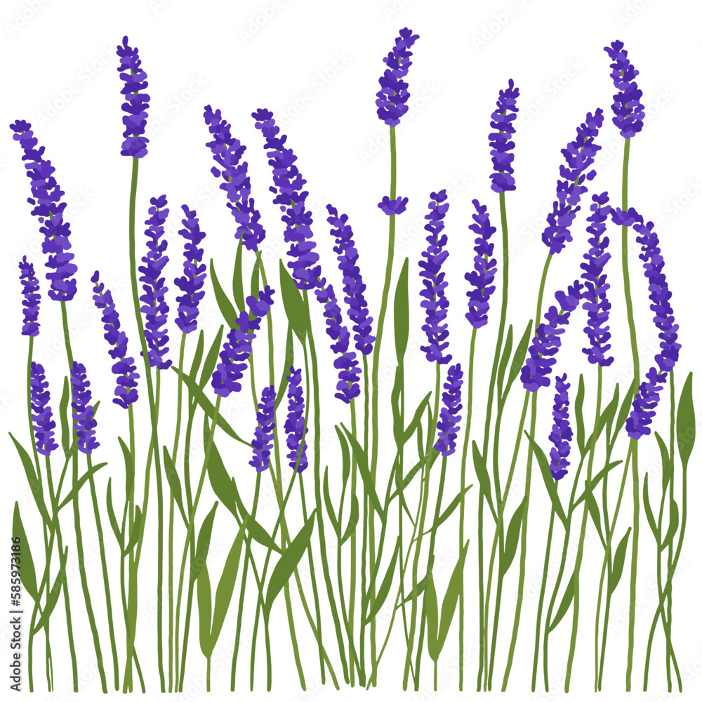 Glade of spring purple flowers. Background with bright blue flowers. Illustration of flowers in a meadow.
