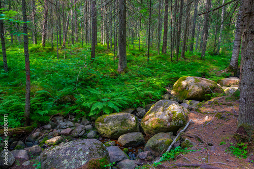 Natural landscape of helvetinjärvi national park in Finland photo