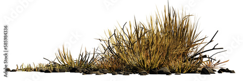 desert scene cutout, dry plants isolated on transparent background banner