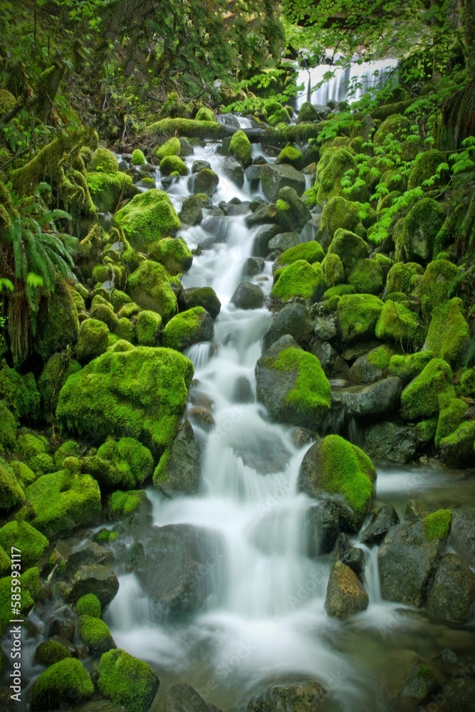Flowing rocky river surrounded by grass Flowing rocky river surrounded by grass