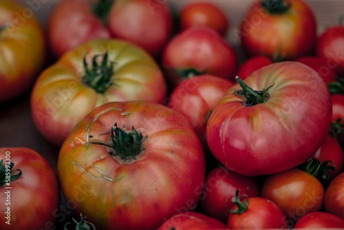 Closeup shot of colorful tomatoes