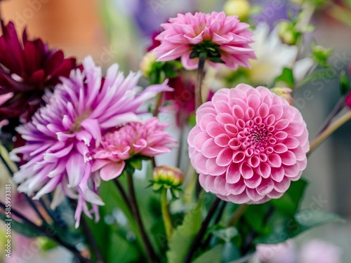 Closeup shot of a colorful set of flowers