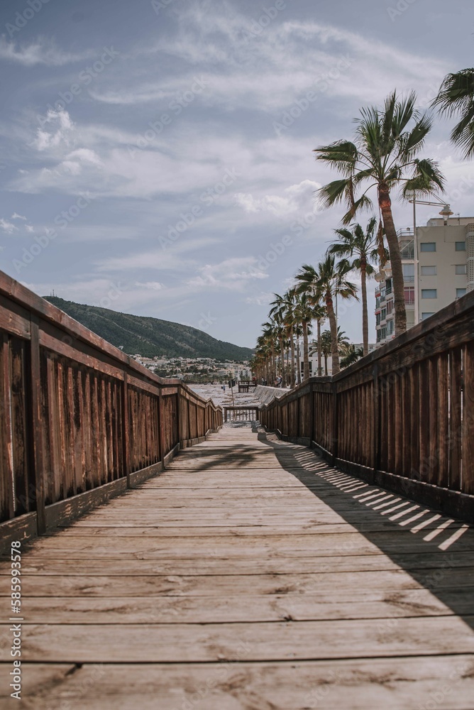 Vertical shot of a narrow wooden walking path with palm trees on the side and a beach in the back
