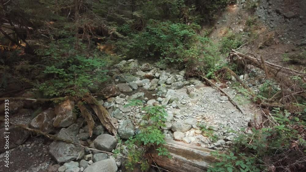 Scenic view of rocks surrounded by pine trees in a forest in Deep Cove, Vancouver, Canada Scenic view of rocks surrounded by pine trees in a forest in Deep Cove, Vancouver, Canada