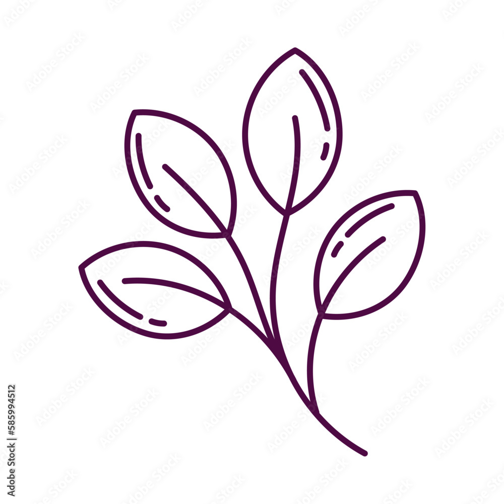 blossoming plant growth blossoming plant growth