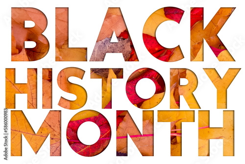 Autumn leaves, objects with Black History Month text. Natural patterns, color design.