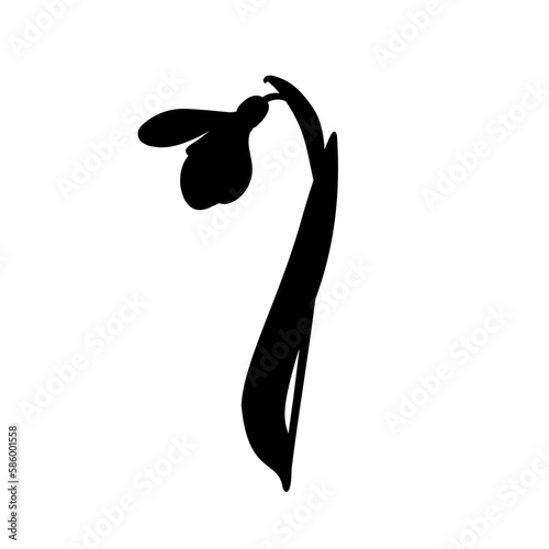 Illustration of early first spring flower snowdrop. Shape.
Galánthus nivális graphic. Illustration of one flower snowdrop on white background.
Illustrations of flowers.