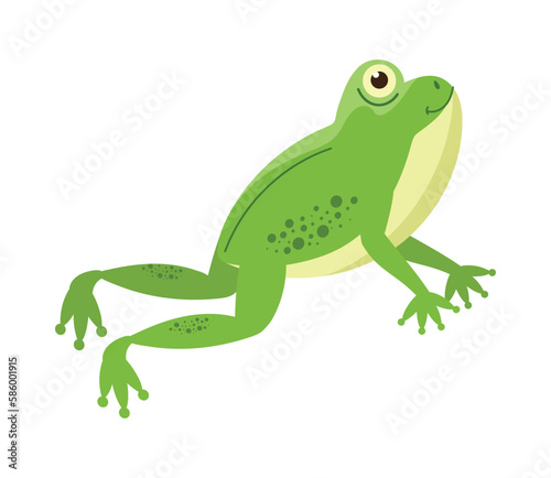 Cute toad mascot