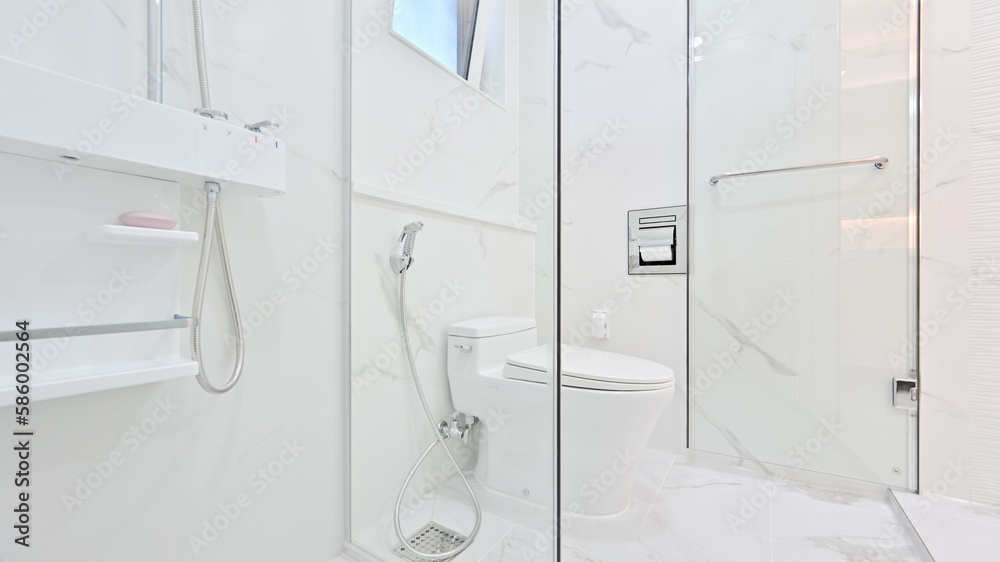Bathroom divided into zones with glass partitions Bathroom divided into zones with glass partitions