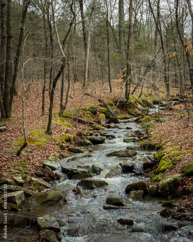 Beautiful Jackson Falls in the Shawnee National Forest, United States Beautiful Jackson Falls in the Shawnee National Forest, United States
