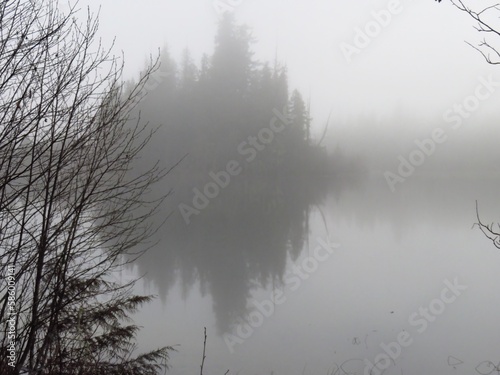 Foggy Island