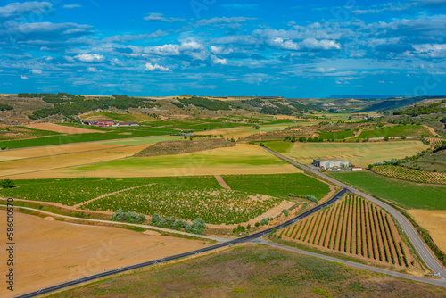 Vineyards surrounding Spanish town Penafiel photo