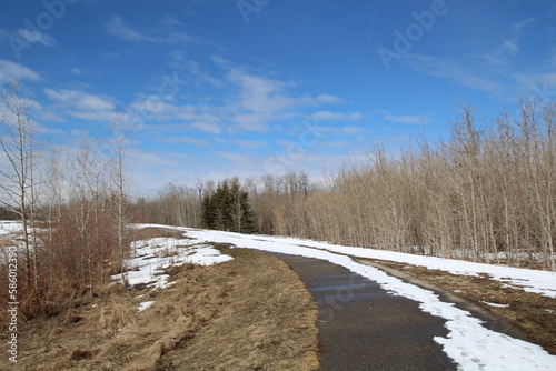 road in the forest